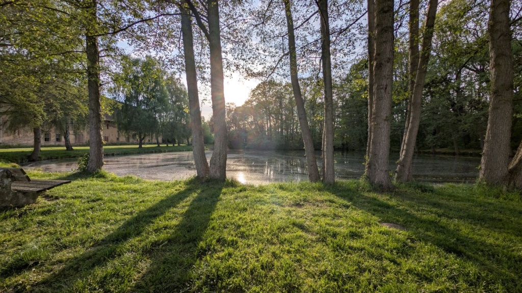 Querformat-Aufnahme eines Dorfteichs am späten Nachmittag. Zwischen mehreren Bäumen scheint die tiefstehende Sonne hindurch und wirft lange Schatten auf eine grüne Wiese im Vordergrund. Links eine Holzbank, im Hintergrund eine Wasserfläche mit Spiegelung und ein längliches Gebäude mit weißer Fassade hinter den Bäumen.